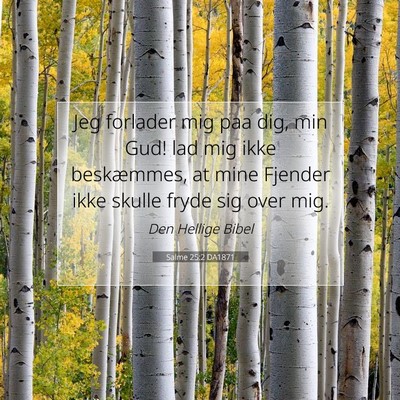 Picture 07 - Salme 25:2 DA1871 - Jeg forlader mig paa dig, min Gud! lad mig ikke - Bible Verse Picture