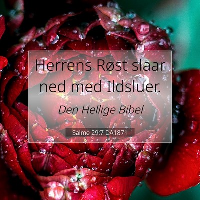 Picture 07 - Salme 29:7 DA1871 - Herrens Røst slaar ned med - Bible Verse Picture