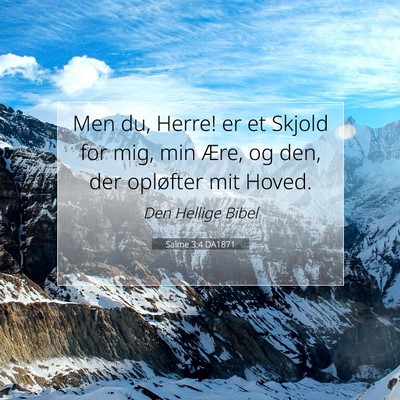 Picture 07 - Salme 3:4 DA1871 - Men du, Herre! er et Skjold for mig, min Ære, og - Bible Verse Picture
