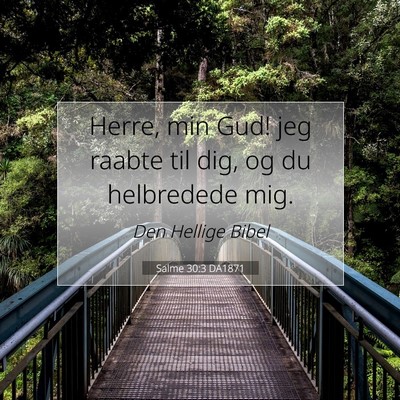 Picture 07 - Salme 30:3 DA1871 - Herre, min Gud! jeg raabte til dig, og du - Bible Verse Picture
