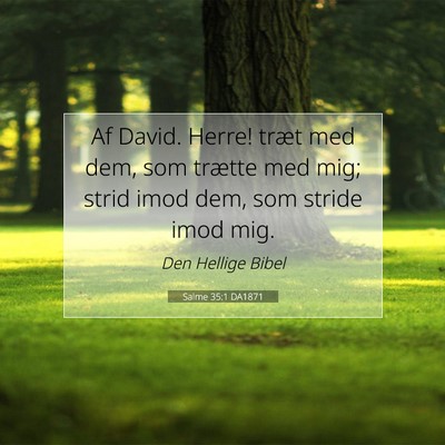 Picture 07 - Salme 35:1 DA1871 - Af David. Herre! træt med dem, som trætte med - Bible Verse Picture