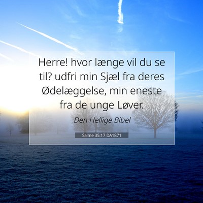 Picture 07 - Salme 35:17 DA1871 - Herre! hvor længe vil du se til? udfri min Sjæl - Bible Verse Picture