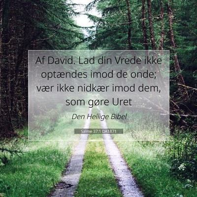 Picture 07 - Salme 37:1 DA1871 - Af David. Lad din Vrede ikke optændes imod de - Bible Verse Picture