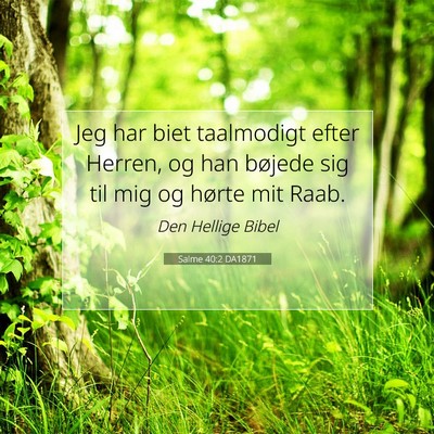 Picture 07 - Salme 40:2 DA1871 - Jeg har biet taalmodigt efter Herren, og han - Bible Verse Picture