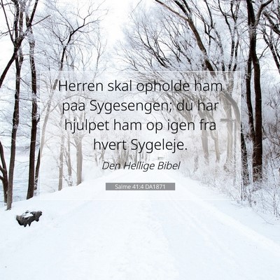 Picture 07 - Salme 41:4 DA1871 - Herren skal opholde ham paa Sygesengen; du har - Bible Verse Picture