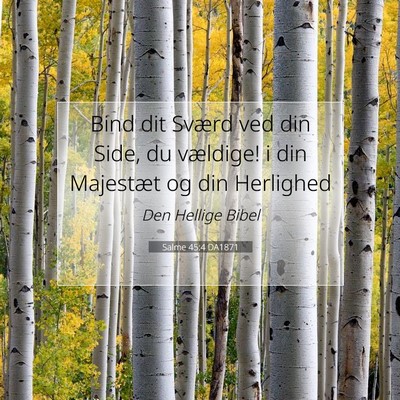 Picture 07 - Salme 45:4 DA1871 - Bind dit Sværd ved din Side, du vældige! i din - Bible Verse Picture