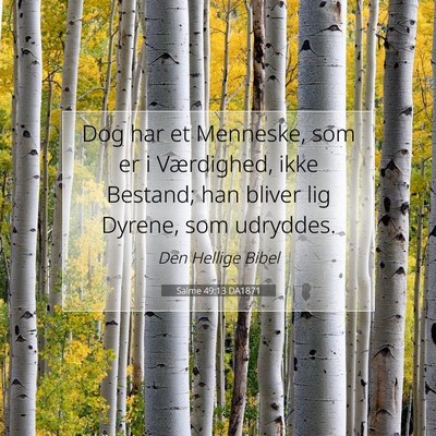 Picture 07 - Salme 49:13 DA1871 - Dog har et Menneske, som er i Værdighed, ikke - Bible Verse Picture