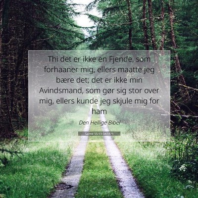 Picture 07 - Salme 55:13 DA1871 - Thi det er ikke en Fjende, som forhaaner mig, - Bible Verse Picture