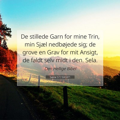 Picture 07 - Salme 57:7 DA1871 - De stillede Garn for mine Trin, min Sjæl - Bible Verse Picture