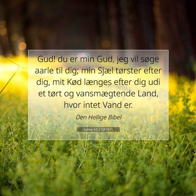 Picture 07 - Salme 63:2 DA1871 - Gud! du er min Gud, jeg vil søge aarle til dig; - Bible Verse Picture