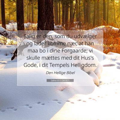 Picture 07 - Salme 65:5 DA1871 - Salig er den, som du udvælger og lader komme - Bible Verse Picture
