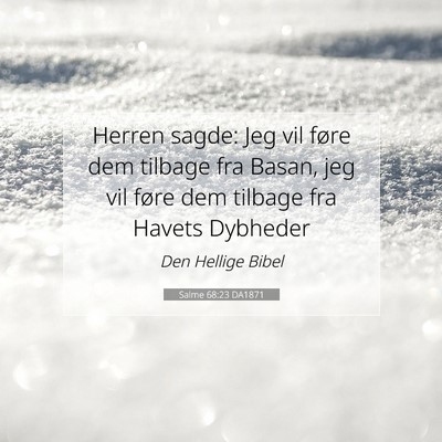 Picture 07 - Salme 68:23 DA1871 - Herren sagde: Jeg vil føre dem tilbage fra - Bible Verse Picture