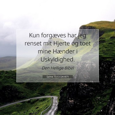 Picture 07 - Salme 73:13 DA1871 - Kun forgæves har jeg renset mit Hjerte og toet - Bible Verse Picture