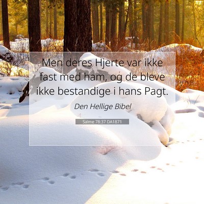 Picture 07 - Salme 78:37 DA1871 - Men deres Hjerte var ikke fast med ham, og de - Bible Verse Picture