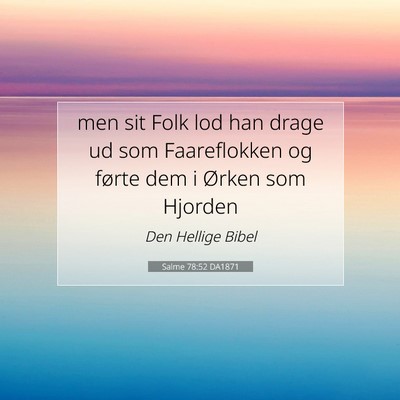 Picture 07 - Salme 78:52 DA1871 - men sit Folk lod han drage ud som Faareflokken og - Bible Verse Picture
