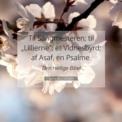 Picture 07 - Salme 80:1 DA1871 - Til Sangmesteren; til „Lillierne‟; et - Bible Verse Picture