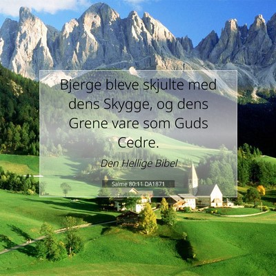 Picture 07 - Salme 80:11 DA1871 - Bjerge bleve skjulte med dens Skygge, og dens - Bible Verse Picture