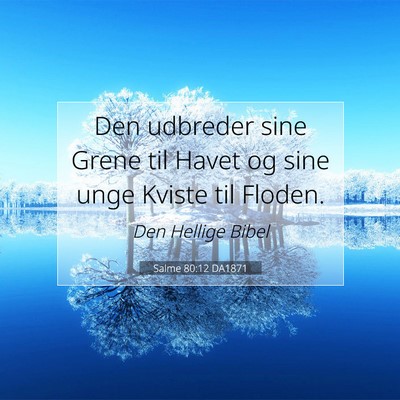 Picture 07 - Salme 80:12 DA1871 - Den udbreder sine Grene til Havet og sine unge - Bible Verse Picture