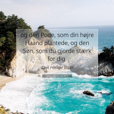 Picture 07 - Salme 80:16 DA1871 - og den Pode, som din højre Haand plantede, og - Bible Verse Picture