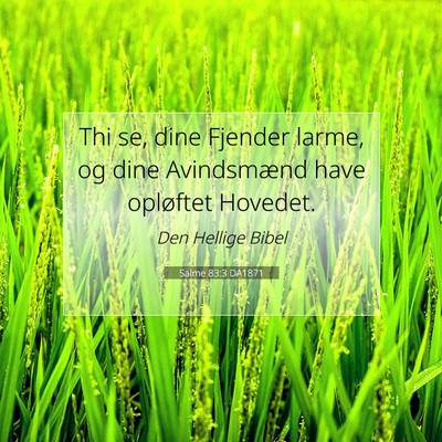 Picture 07 - Salme 83:3 DA1871 - Thi se, dine Fjender larme, og dine Avindsmænd - Bible Verse Picture