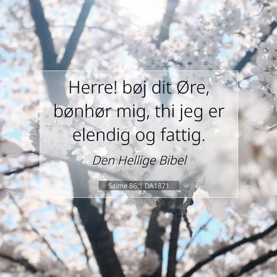 Picture 07 - Salme 86:1 DA1871 - Herre! bøj dit Øre, bønhør mig, thi jeg er - Bible Verse Picture