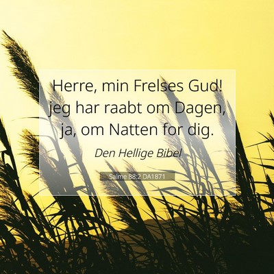 Picture 07 - Salme 88:2 DA1871 - Herre, min Frelses Gud! jeg har raabt om Dagen, - Bible Verse Picture