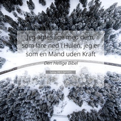 Picture 07 - Salme 88:5 DA1871 - Jeg agtes lige med dem, som fare ned i Hulen, jeg - Bible Verse Picture