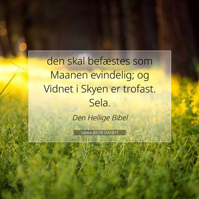 Picture 07 - Salme 89:38 DA1871 - den skal befæstes som Maanen evindelig; og - Bible Verse Picture