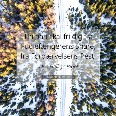 Picture 07 - Salme 91:3 DA1871 - Thi han skal fri dig fra Fuglefængerens Snare, - Bible Verse Picture