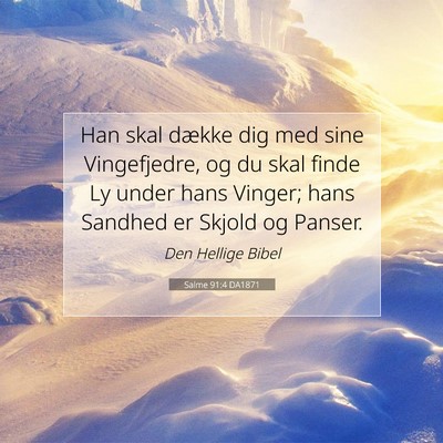 Picture 07 - Salme 91:4 DA1871 - Han skal dække dig med sine Vingefjedre, og du - Bible Verse Picture