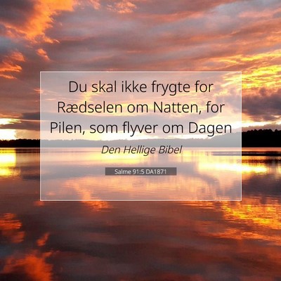 Picture 07 - Salme 91:5 DA1871 - Du skal ikke frygte for Rædselen om Natten, for - Bible Verse Picture