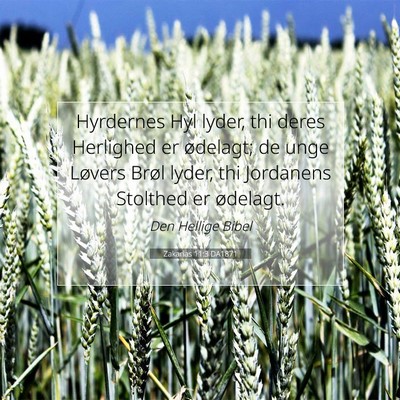 Picture 07 - Zakarias 11:3 DA1871 - Hyrdernes Hyl lyder, thi deres Herlighed er - Bible Verse Picture