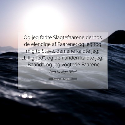 Picture 07 - Zakarias 11:7 DA1871 - Og jeg fødte Slagtefaarene derhos de elendige af - Bible Verse Picture