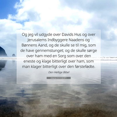 Picture 07 - Zakarias 12:10 DA1871 - Og jeg vil udgyde over Davids Hus og over - Bible Verse Picture
