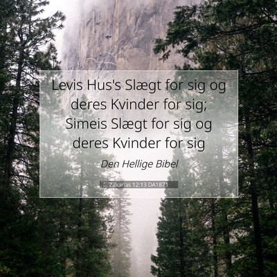 Picture 07 - Zakarias 12:13 DA1871 - Levis Hus's Slægt for sig og deres Kvinder for - Bible Verse Picture