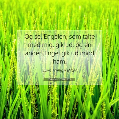 Picture 07 - Zakarias 2:7 DA1871 - Og se, Engelen, som talte med mig, gik ud, og en - Bible Verse Picture