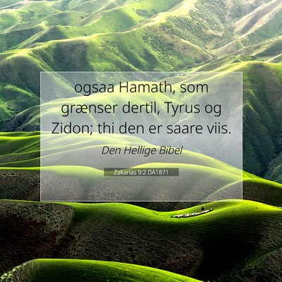 Picture 07 - Zakarias 9:2 DA1871 - ogsaa Hamath, som grænser dertil, Tyrus og - Bible Verse Picture