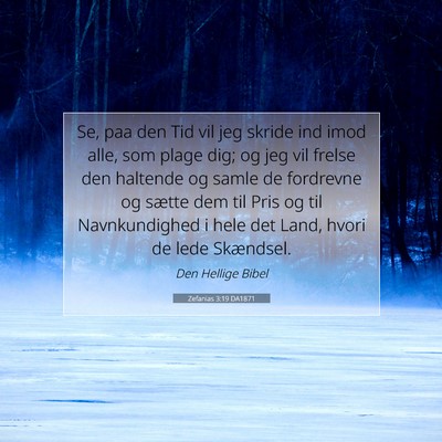 Picture 07 - Zefanias 3:19 DA1871 - Se, paa den Tid vil jeg skride ind imod alle, som - Bible Verse Picture