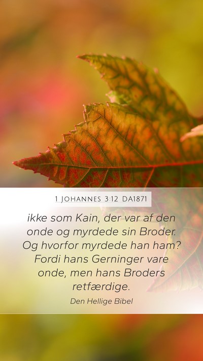 1 Johannes 3:12 DA1871 Bible Verse Image