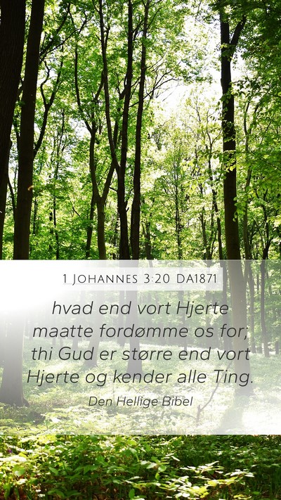 1 Johannes 3:20 DA1871 Bible Verse Image