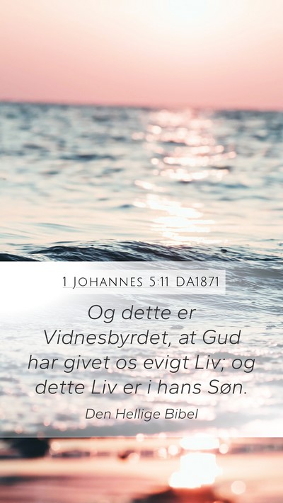 1 Johannes 5:11 DA1871 Bible Verse Image