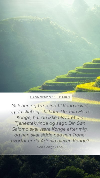 1 Kongebog 1:13 DA1871 Bible Verse Image
