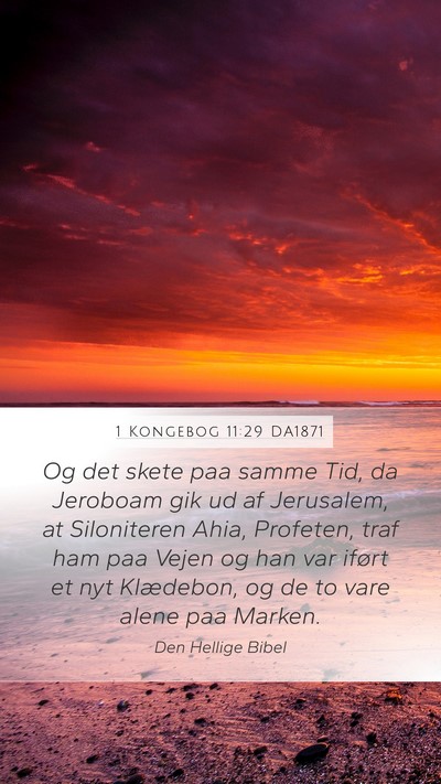 1 Kongebog 11:29 DA1871 Bible Verse Image