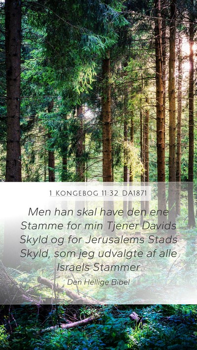 1 Kongebog 11:32 DA1871 Bible Verse Image