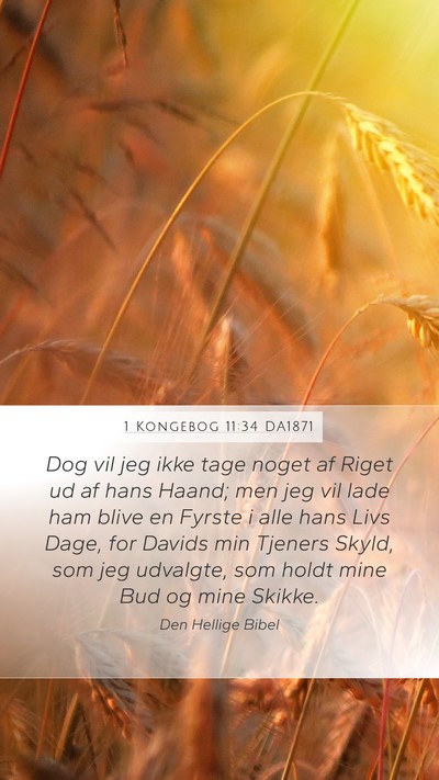 1 Kongebog 11:34 DA1871 Bible Verse Image