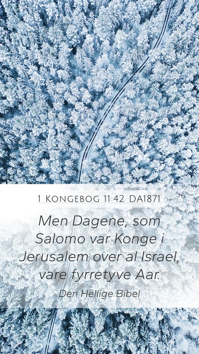 1 Kongebog 11:42 DA1871 Bible Verse Image