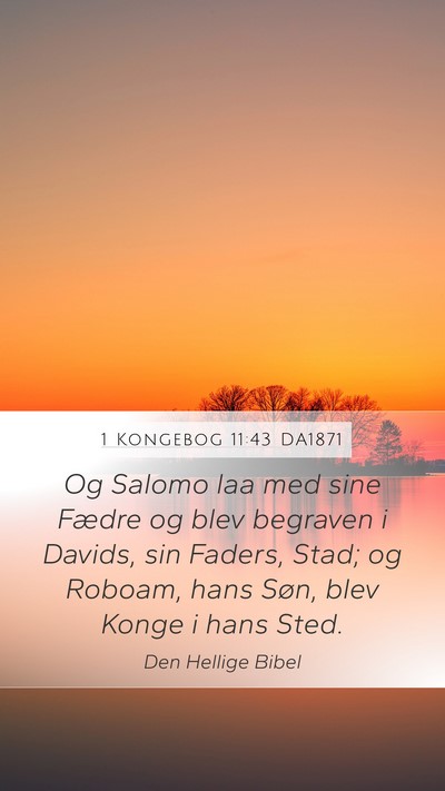 1 Kongebog 11:43 DA1871 Bible Verse Image
