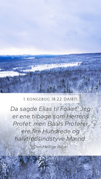 1 Kongebog 18:22 DA1871 Bible Verse Image