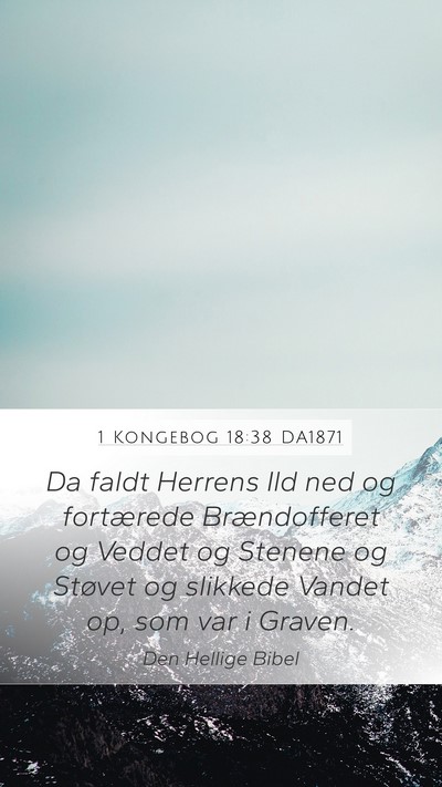 1 Kongebog 18:38 DA1871 Bible Verse Image