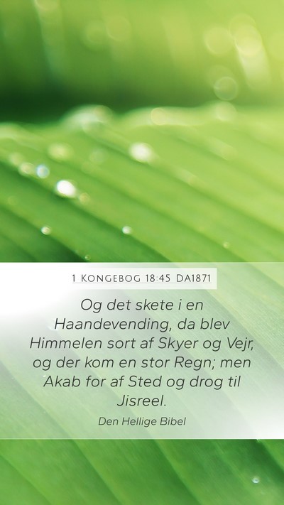 1 Kongebog 18:45 DA1871 Bible Verse Image